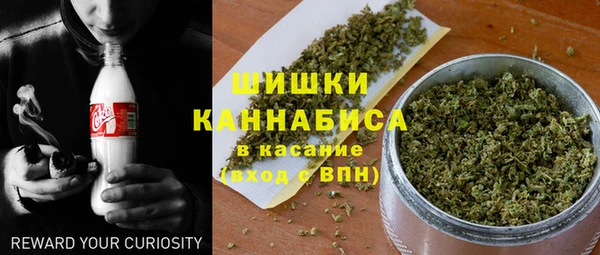 молекула духа Козловка