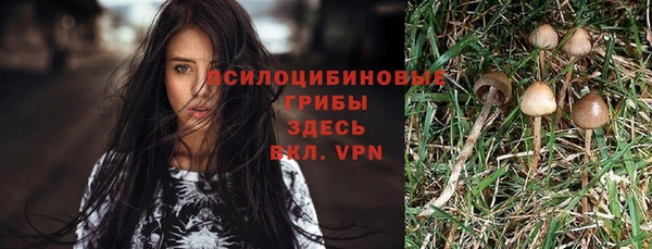 прущая мука Алексеевка